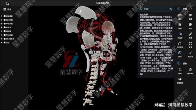 易游体育app颈部静脉、舌动脉……VR口腔剖解假造仿真让脉管进修像在玩游戏(图3)