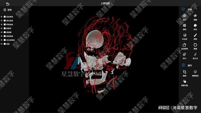 易游体育app颈部静脉、舌动脉……VR口腔剖解假造仿真让脉管进修像在玩游戏(图2)