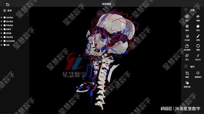 易游体育app颈部静脉、舌动脉……VR口腔剖解假造仿真让脉管进修像在玩游戏